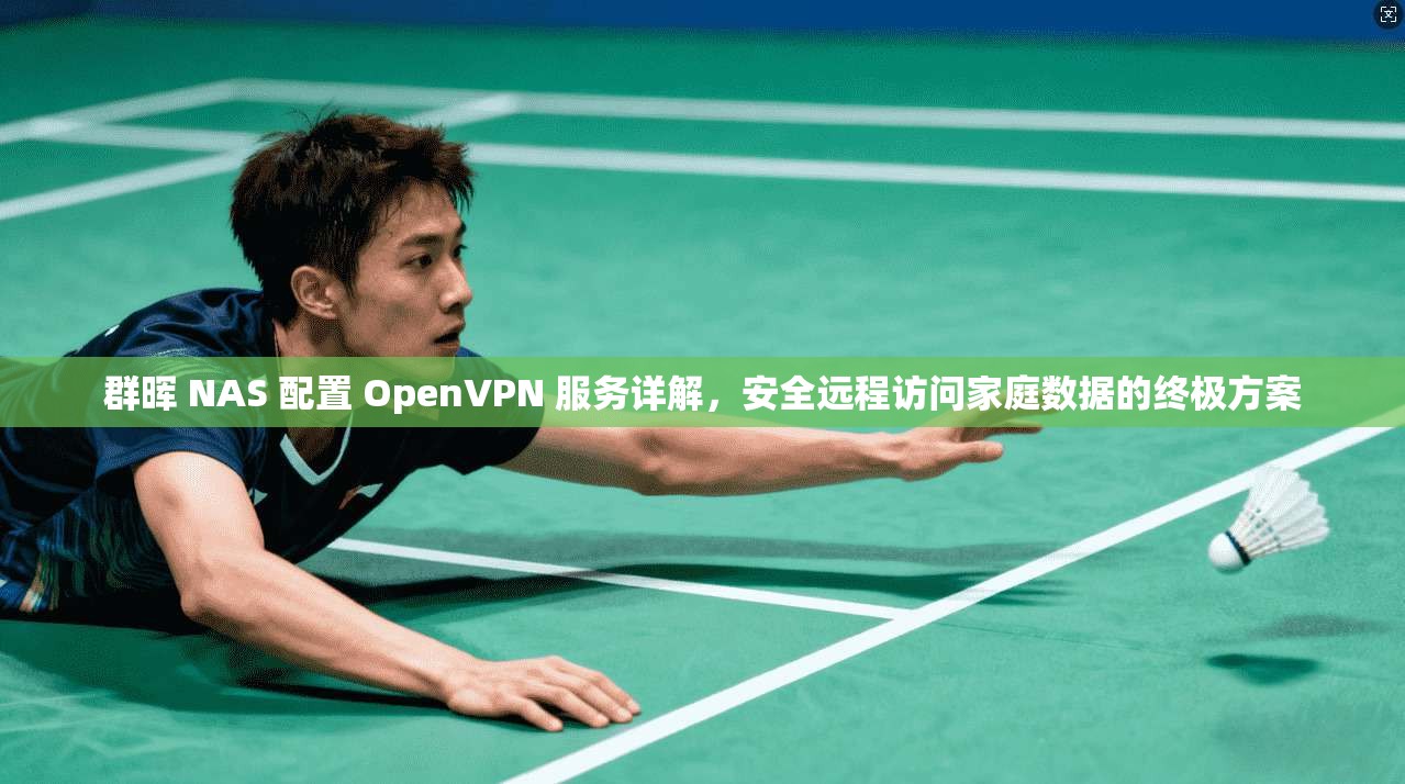 群晖 NAS 配置 OpenVPN 服务详解，安全远程访问家庭数据的终极方案