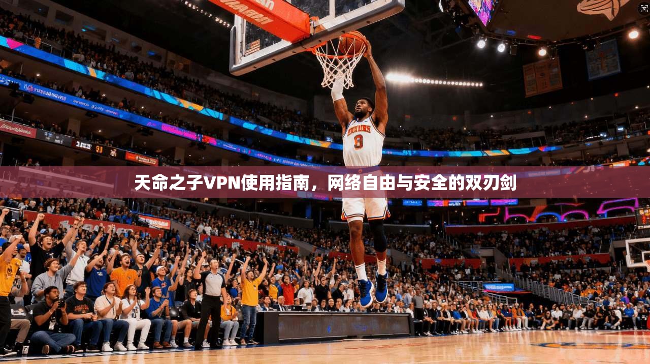 天命之子VPN使用指南,网络自由与安全的双刃剑