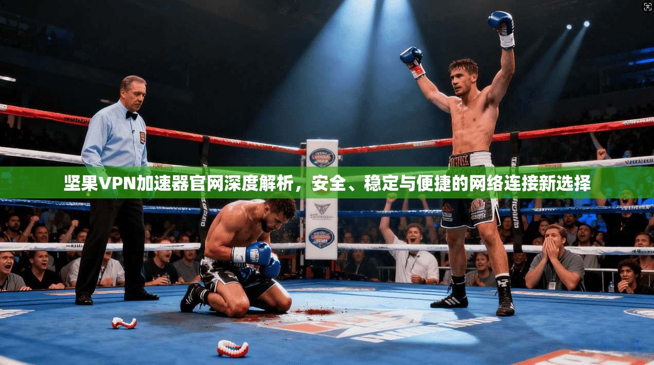 坚果VPN加速器官网深度解析,安全、稳定与便捷的网络连接新选择