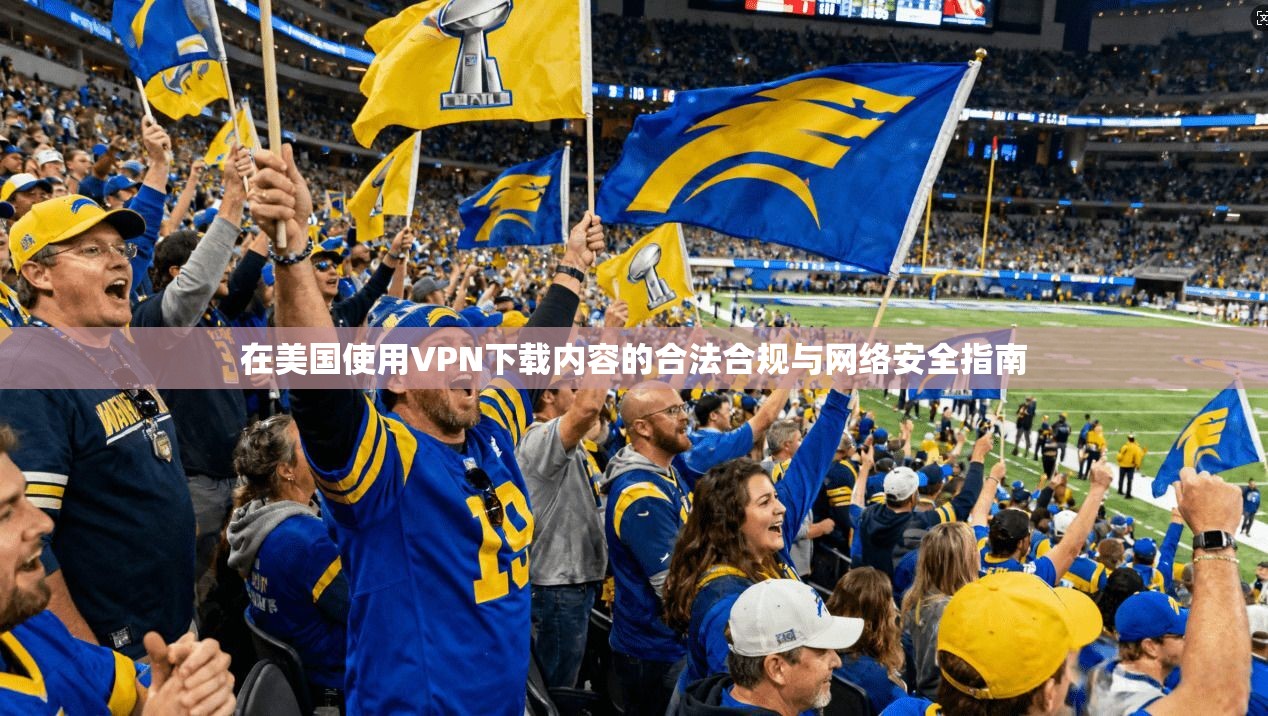 在美国使用VPN下载内容的合法合规与网络安全指南