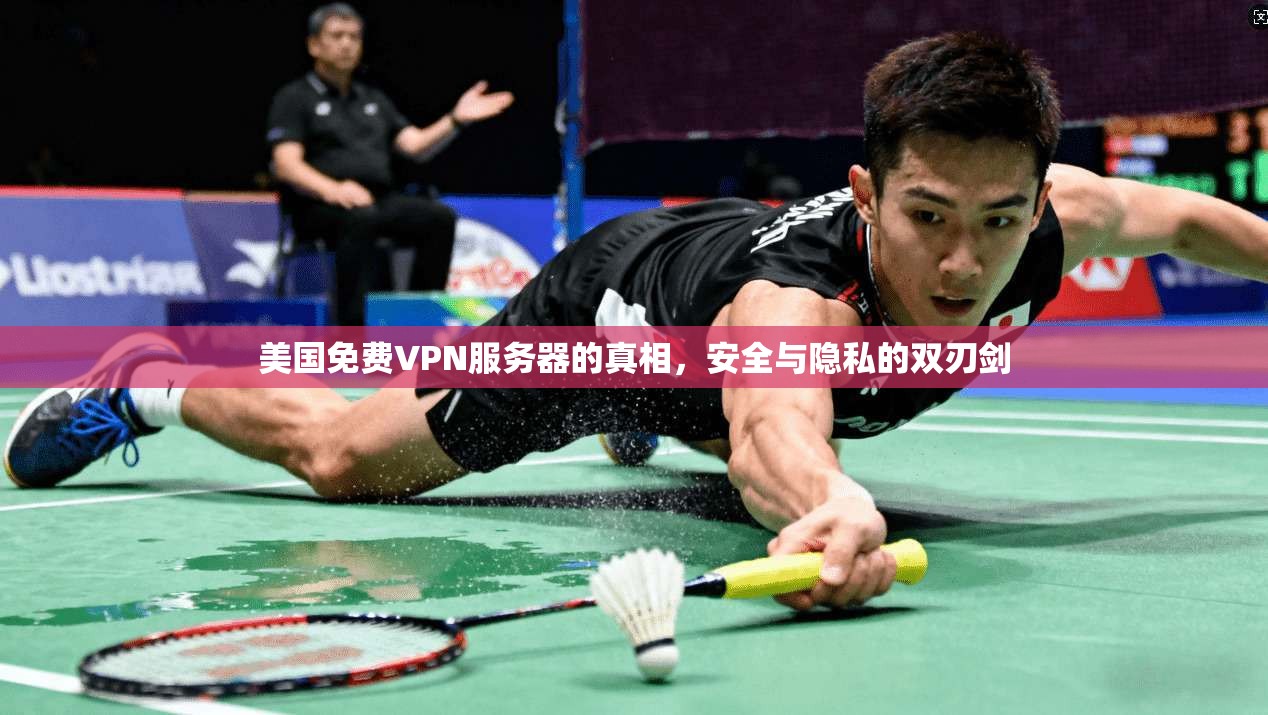 美国免费VPN服务器的真相,安全与隐私的双刃剑