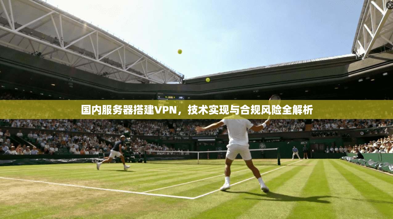 国内服务器搭建VPN，技术实现与合规风险全解析