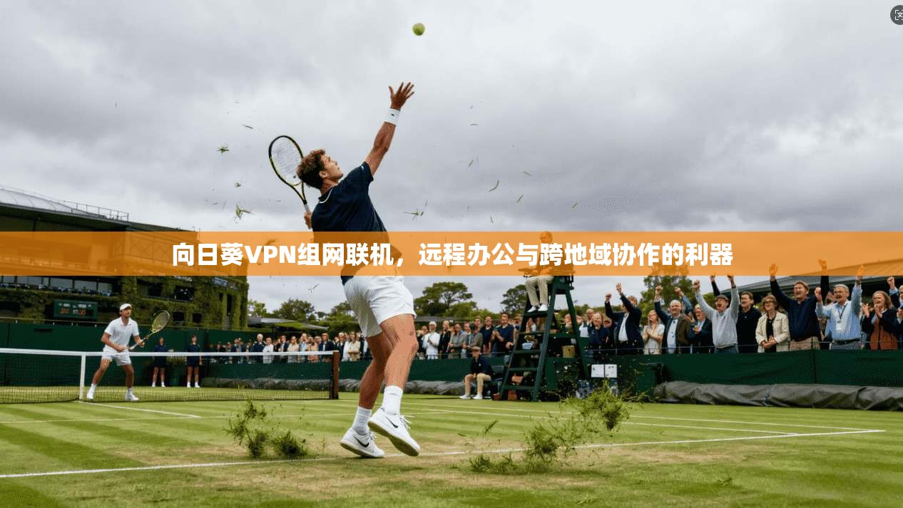 向日葵VPN组网联机，远程办公与跨地域协作的利器
