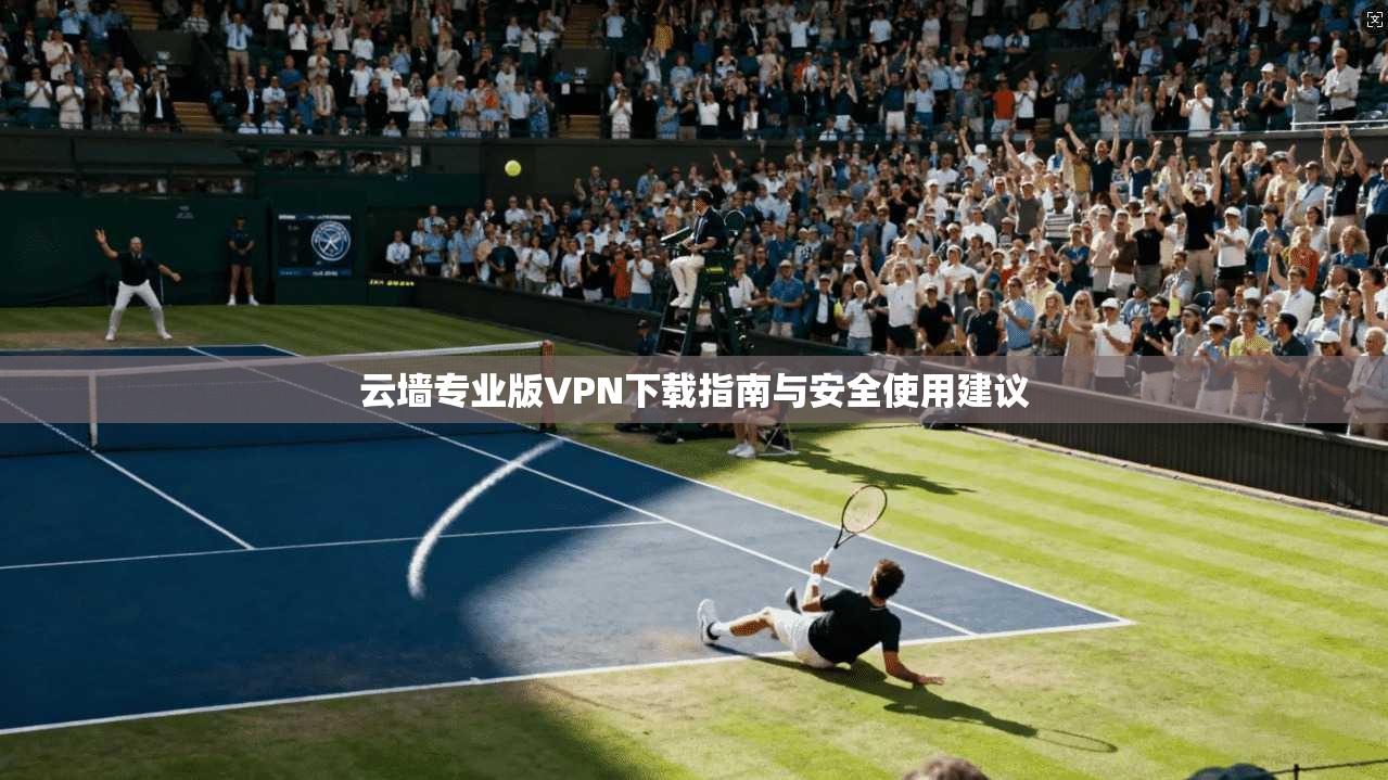 云墙专业版VPN下载指南与安全使用建议