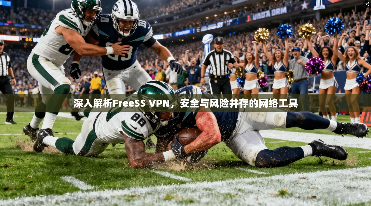 深入解析FreeSS VPN，安全与风险并存的网络工具