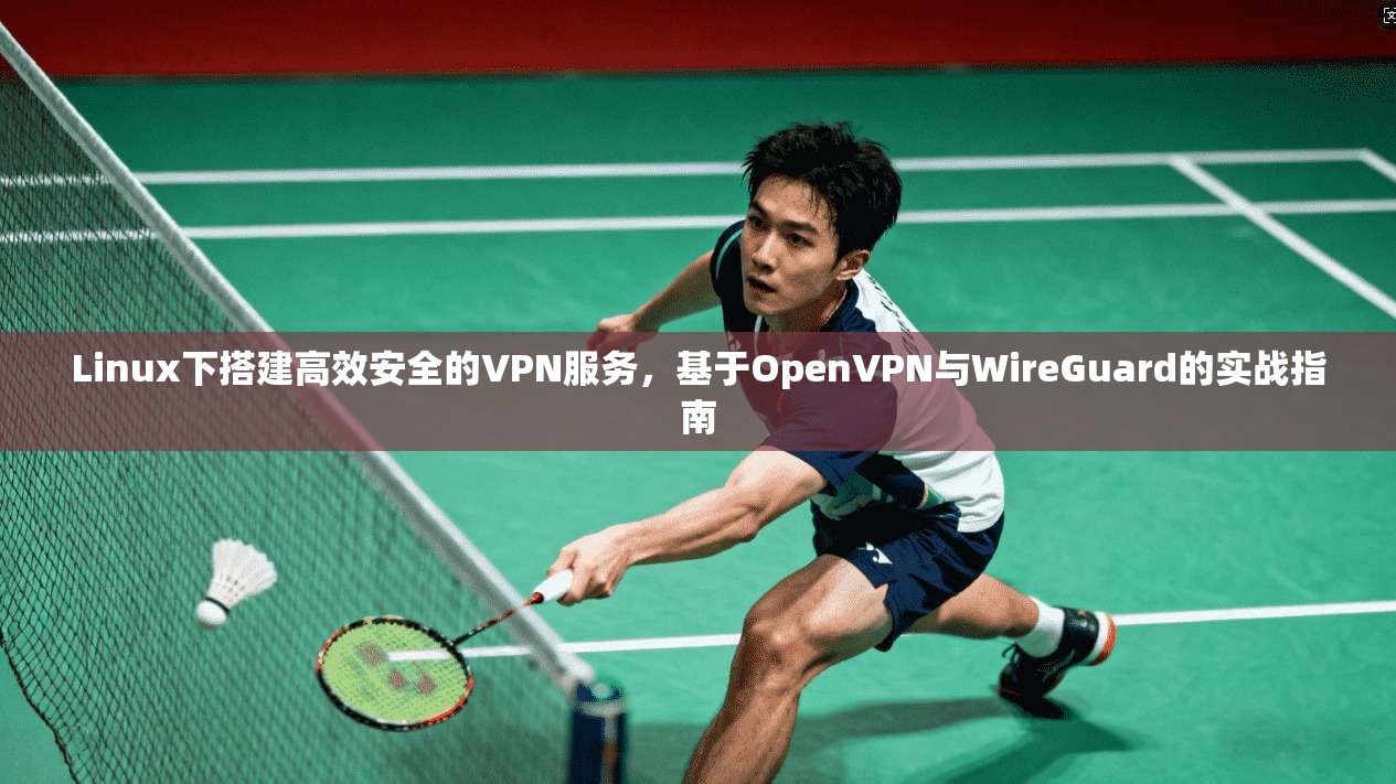 Linux下搭建高效安全的VPN服务，基于OpenVPN与WireGuard的实战指南