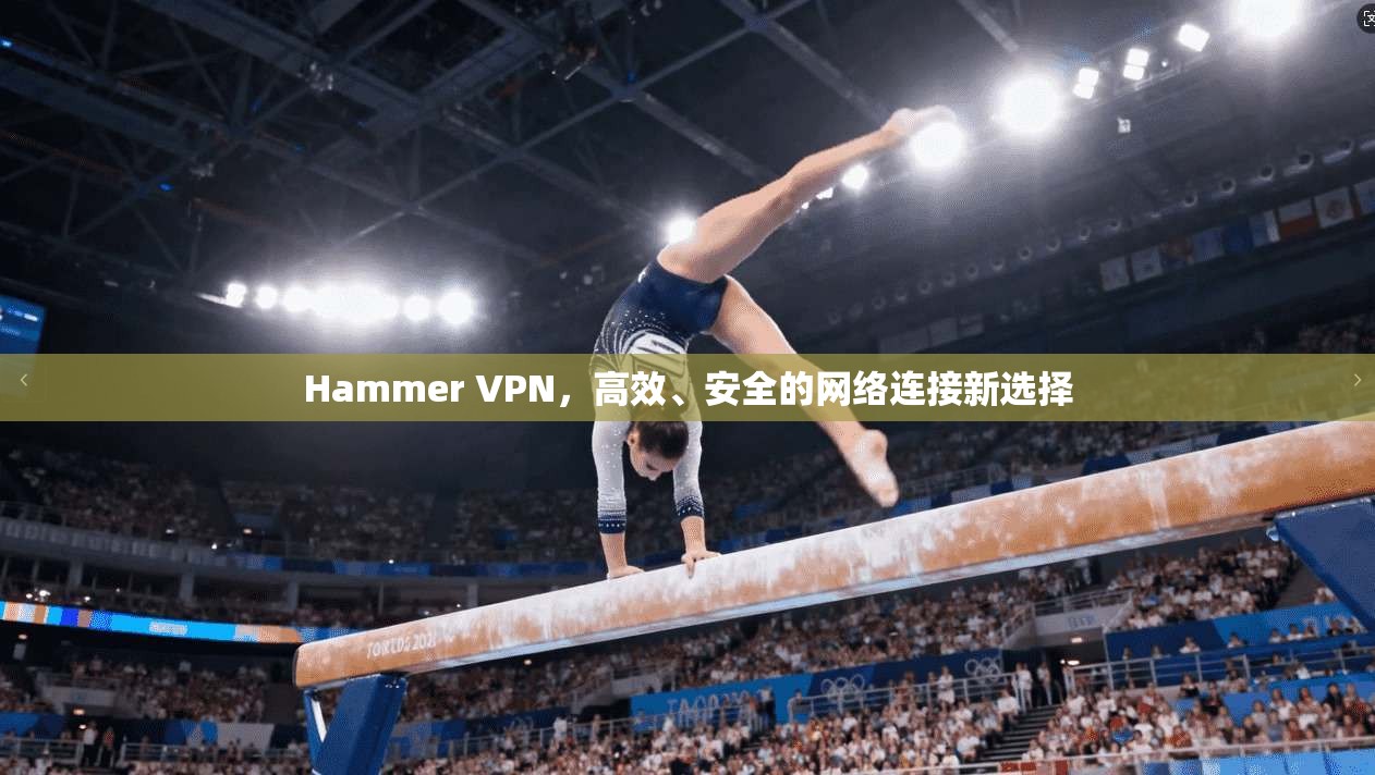 Hammer VPN，高效、安全的网络连接新选择