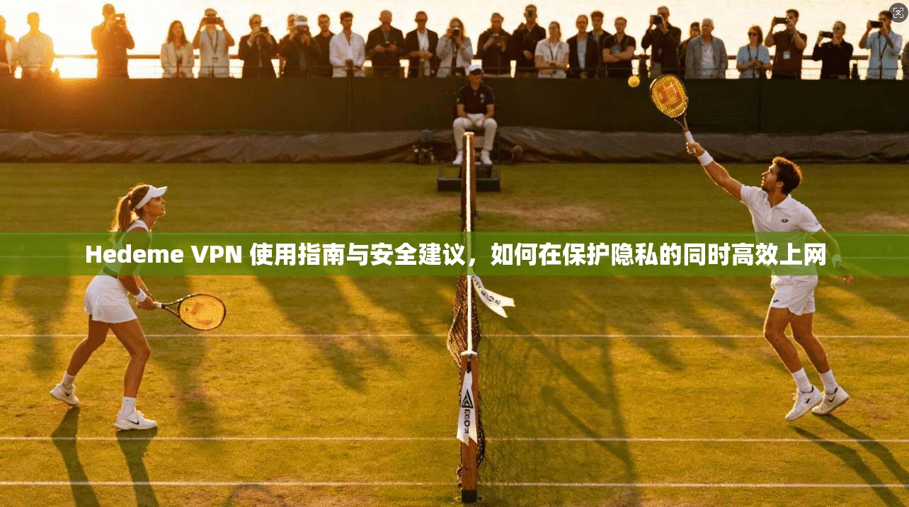 Hedeme VPN 使用指南与安全建议，如何在保护隐私的同时高效上网