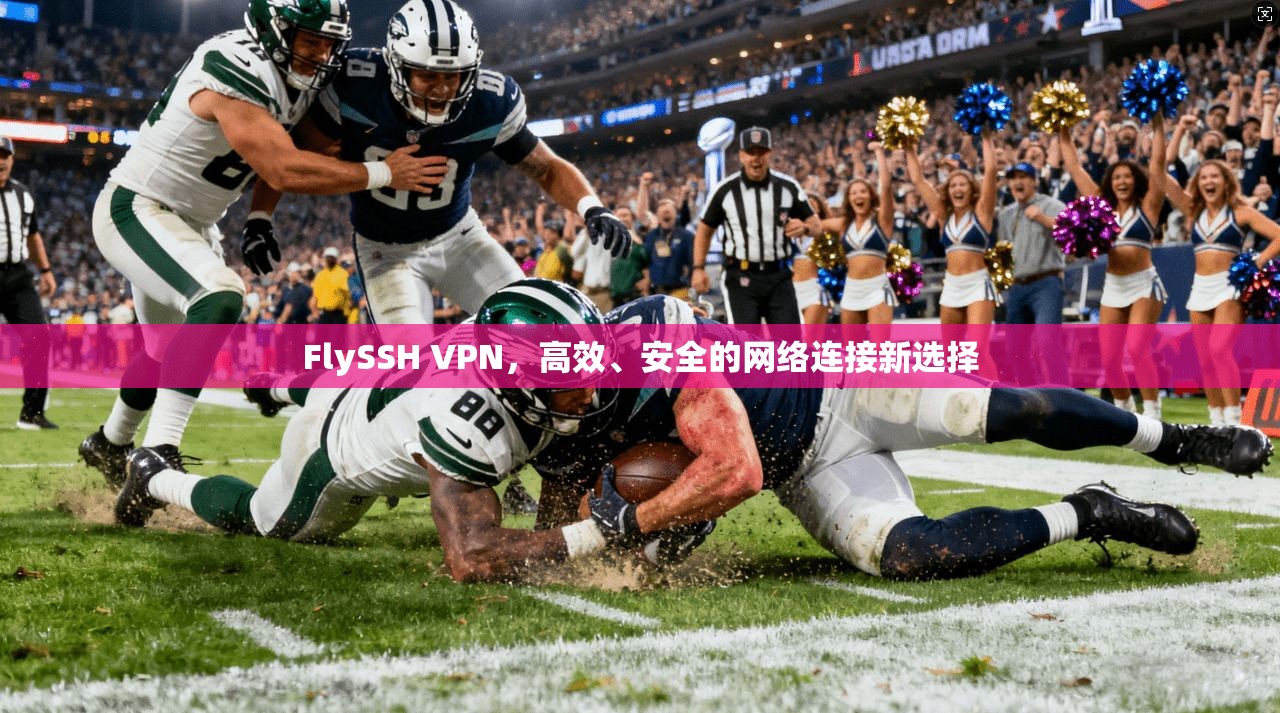 FlySSH VPN，高效、安全的网络连接新选择