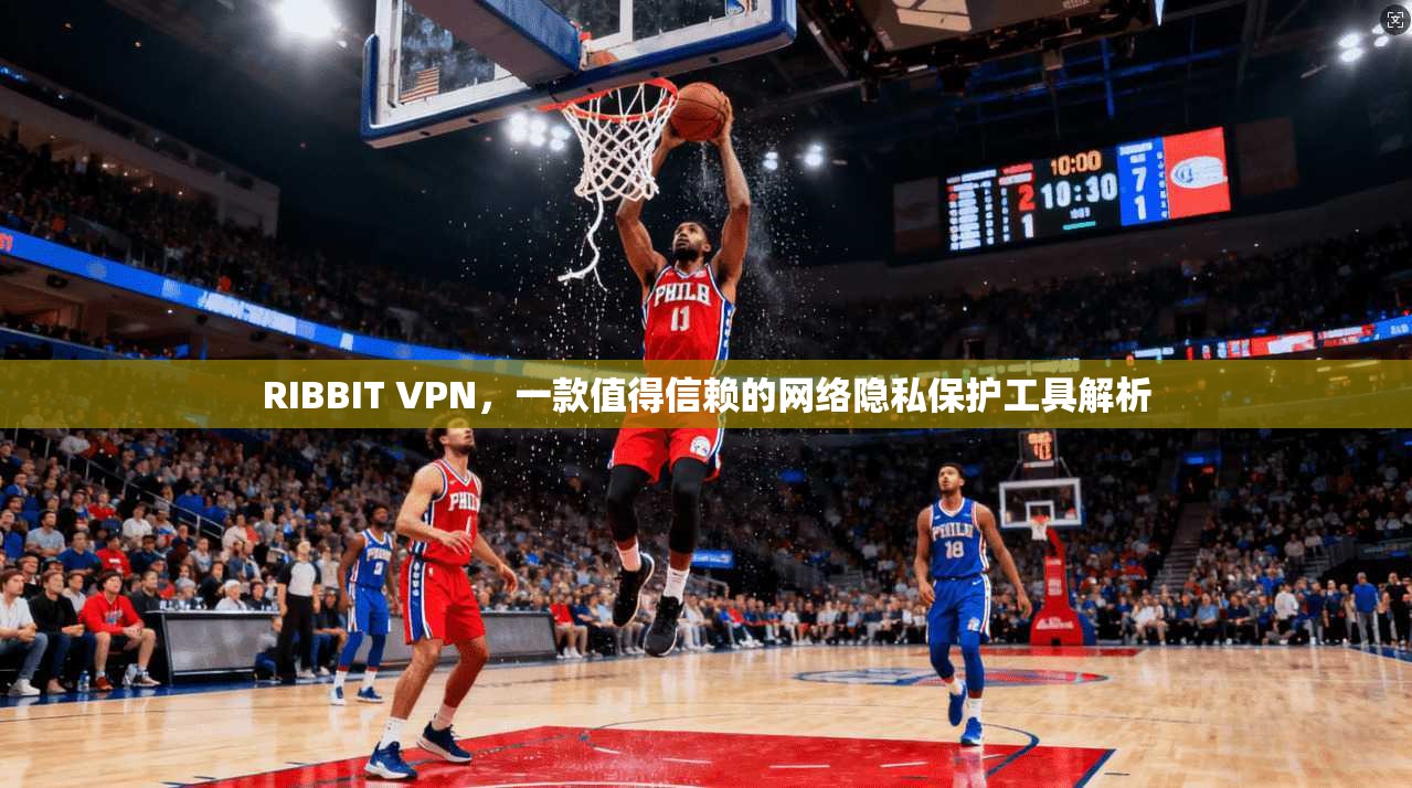 RIBBIT VPN，一款值得信赖的网络隐私保护工具解析