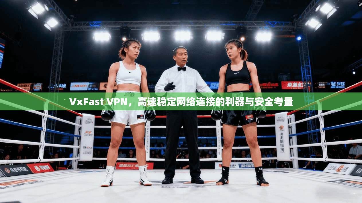 VxFast VPN，高速稳定网络连接的利器与安全考量