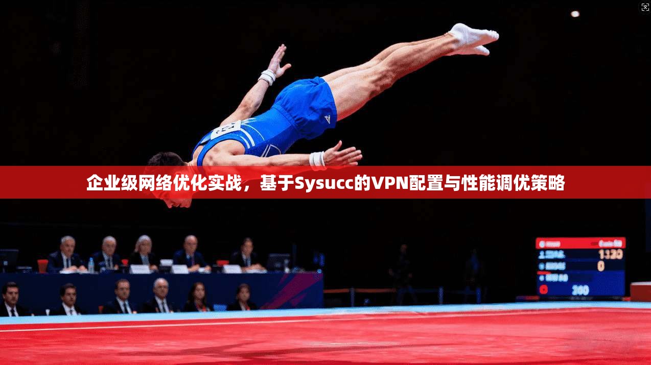 企业级网络优化实战，基于Sysucc的VPN配置与性能调优策略