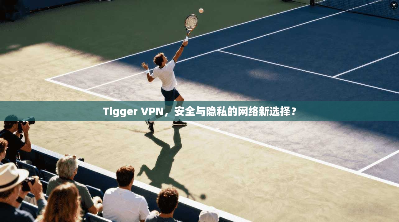 Tigger VPN，安全与隐私的网络新选择？
