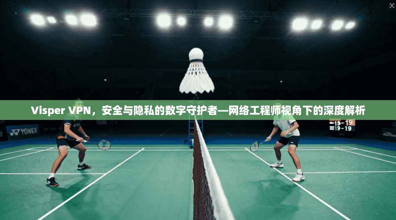 Visper VPN，安全与隐私的数字守护者—网络工程师视角下的深度解析