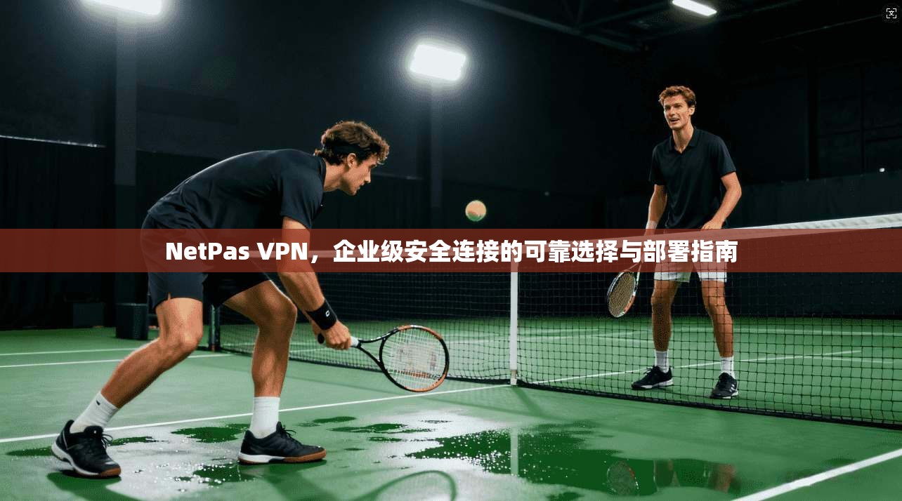 NetPas VPN，企业级安全连接的可靠选择与部署指南
