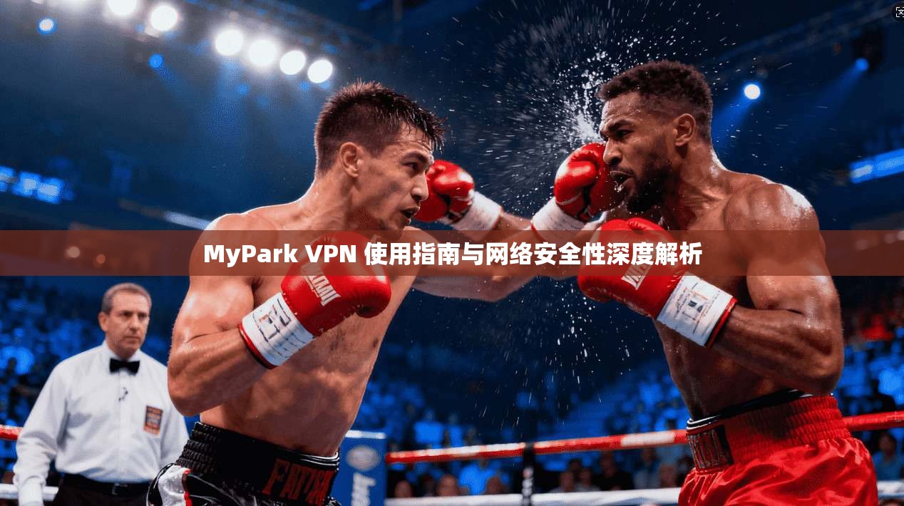 MyPark VPN 使用指南与网络安全性深度解析