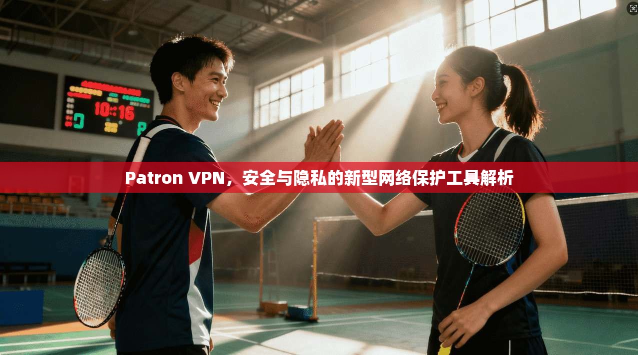 Patron VPN,安全与隐私的新型网络保护工具解析