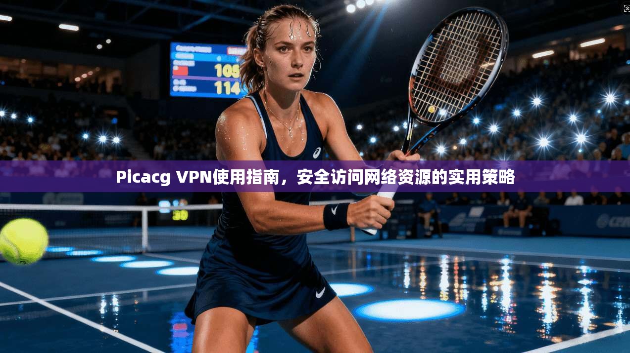Picacg VPN使用指南，安全访问网络资源的实用策略