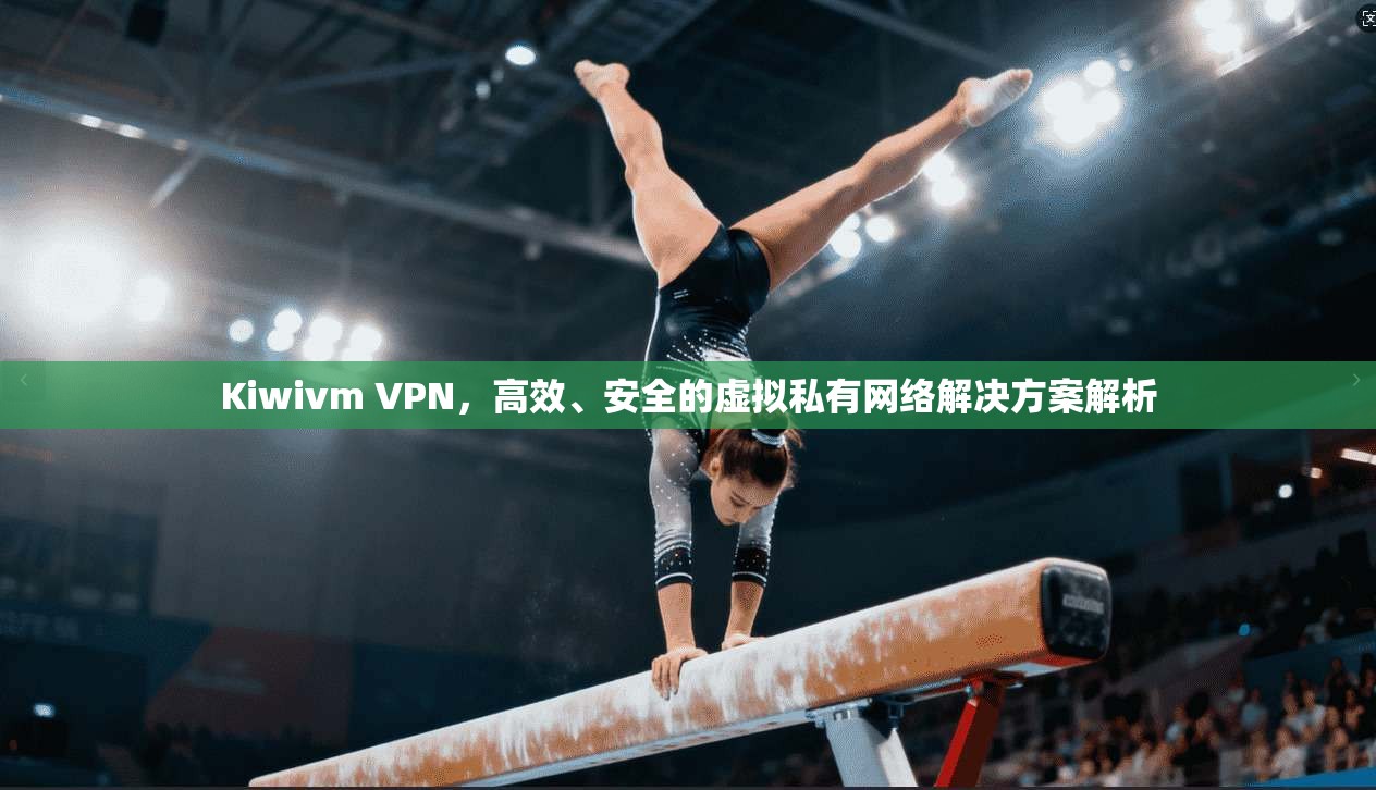 Kiwivm VPN，高效、安全的虚拟私有网络解决方案解析