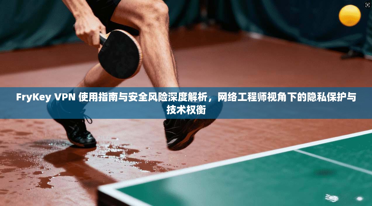 FryKey VPN 使用指南与安全风险深度解析，网络工程师视角下的隐私保护与技术权衡
