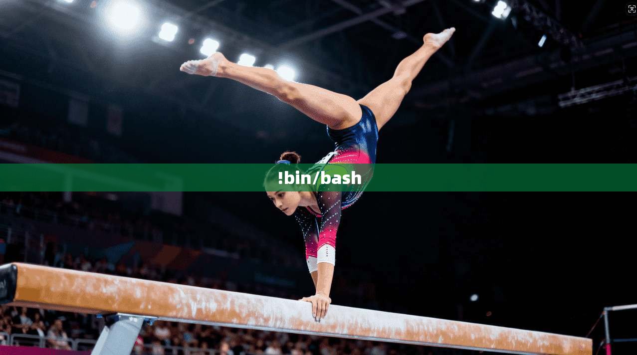 !bin/bash !bin/bash
