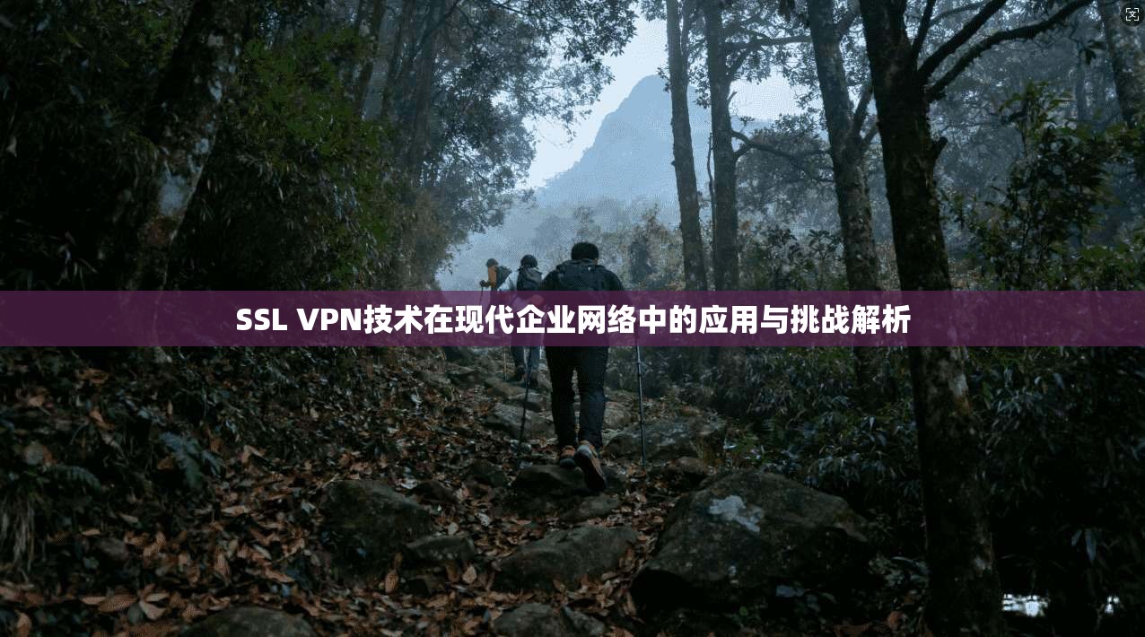 SSL VPN技术在现代企业网络中的应用与挑战解析