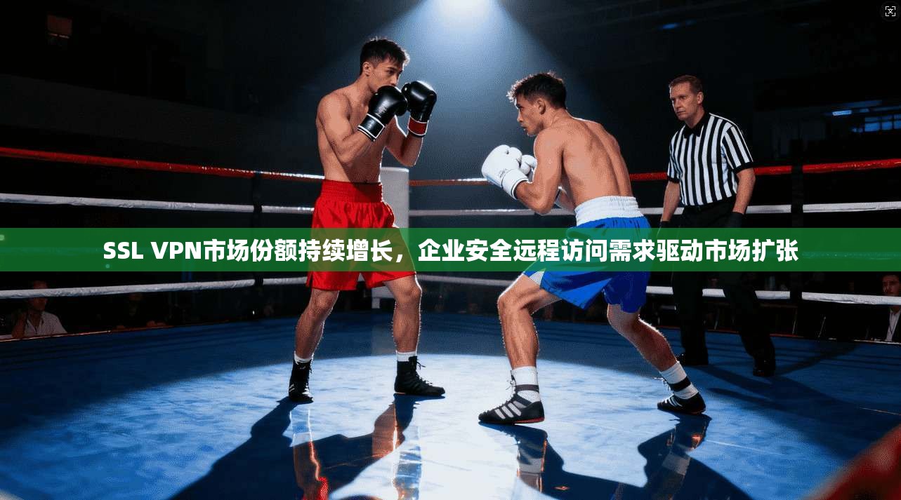 SSL VPN市场份额持续增长,企业安全远程访问需求驱动市场扩张