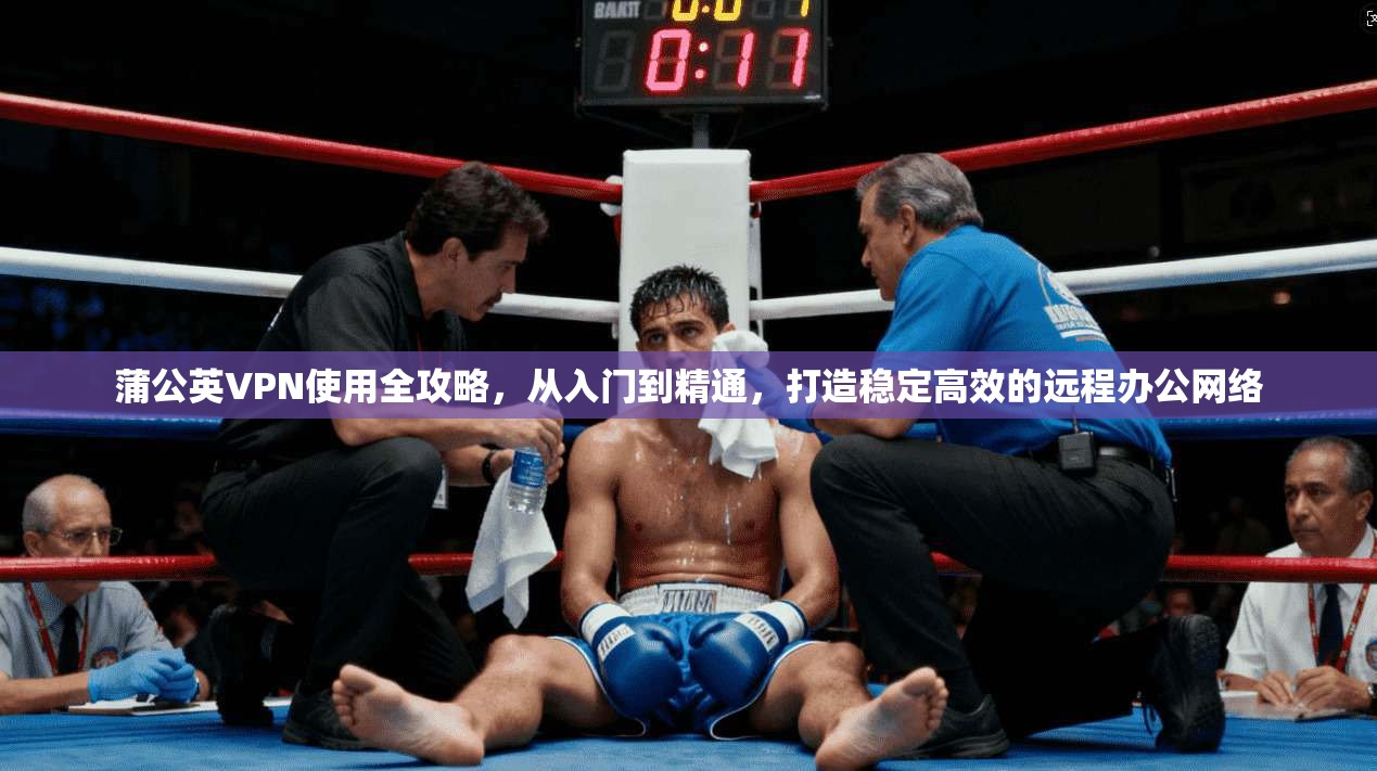 蒲公英VPN使用全攻略，从入门到精通，打造稳定高效的远程办公网络