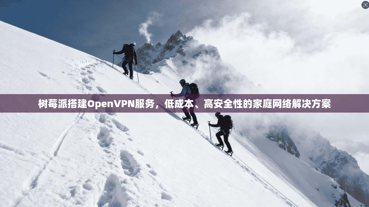 树莓派搭建OpenVPN服务，低成本、高安全性的家庭网络解决方案