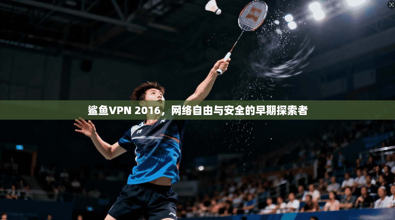 鲨鱼VPN 2016，网络自由与安全的早期探索者