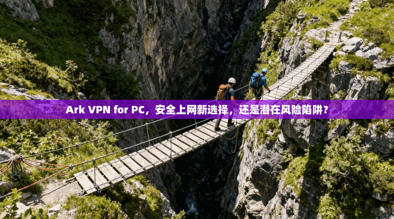 Ark VPN for PC，安全上网新选择，还是潜在风险陷阱？