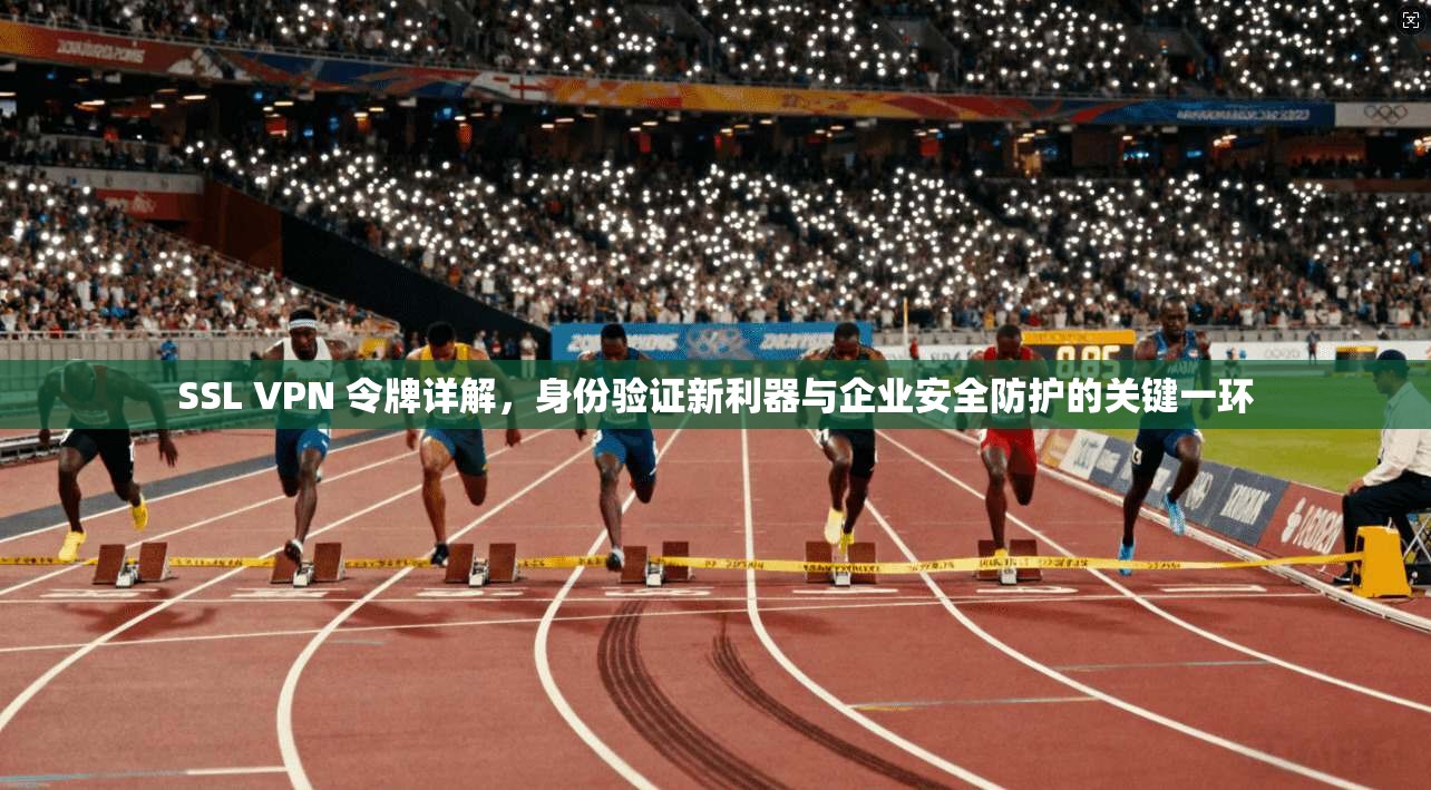 SSL VPN 令牌详解,身份验证新利器与企业安全防护的关键一环