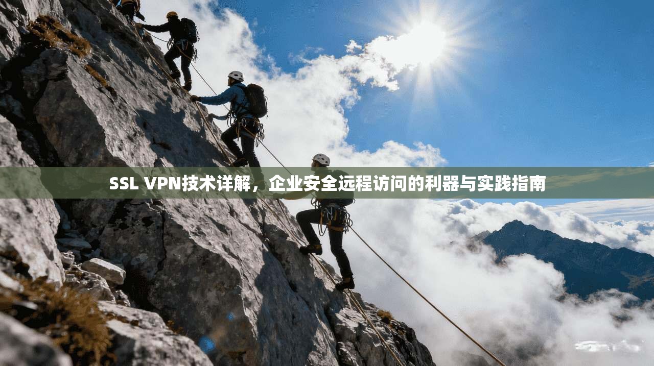 SSL VPN技术详解,企业安全远程访问的利器与实践指南 SSL VPN技术详解,企业安全远程访问的利器与实践指南