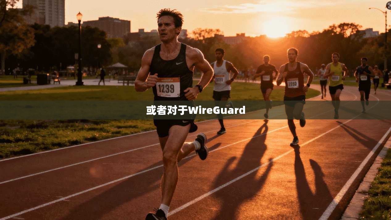 或者对于WireGuard