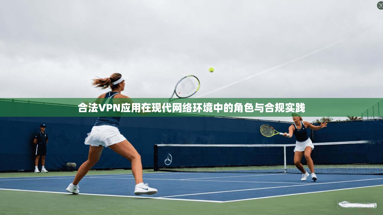 合法VPN应用在现代网络环境中的角色与合规实践