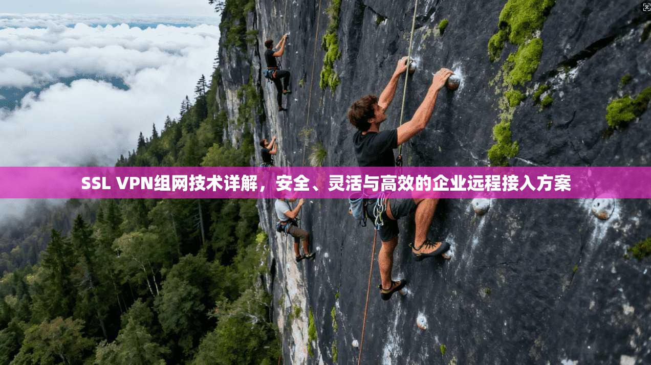 SSL VPN组网技术详解，安全、灵活与高效的企业远程接入方案