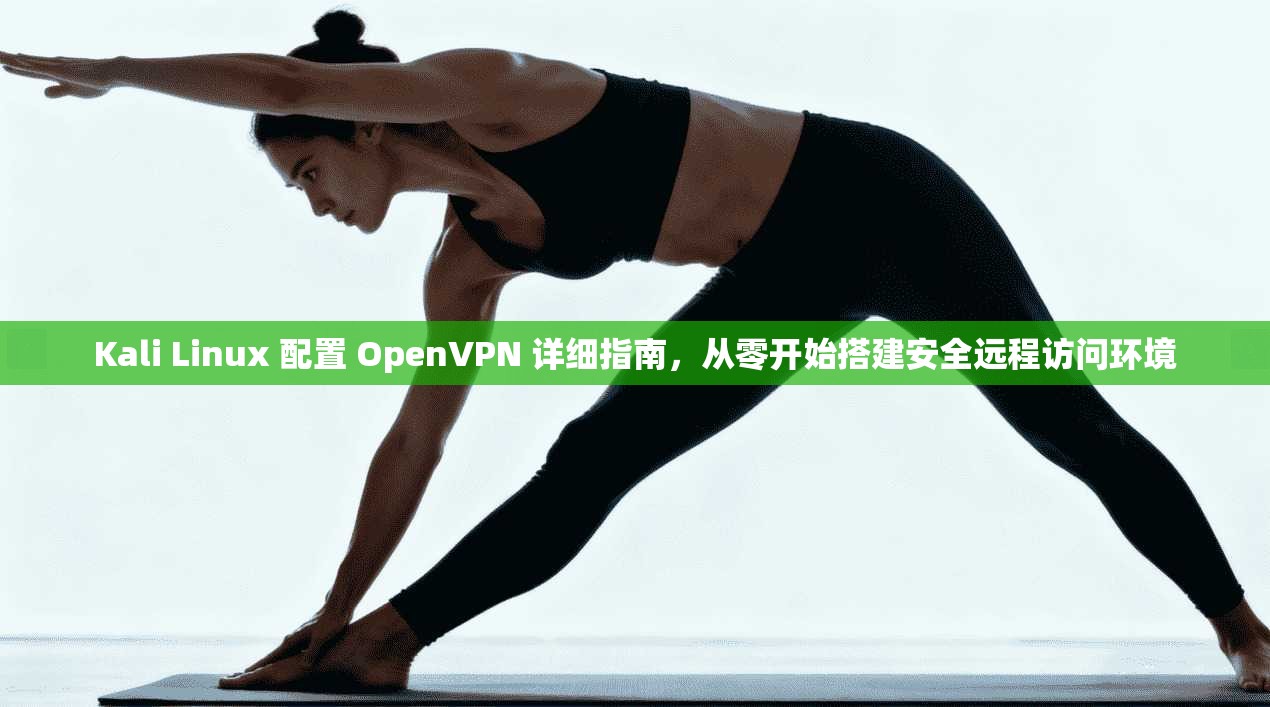Kali Linux 配置 OpenVPN 详细指南，从零开始搭建安全远程访问环境