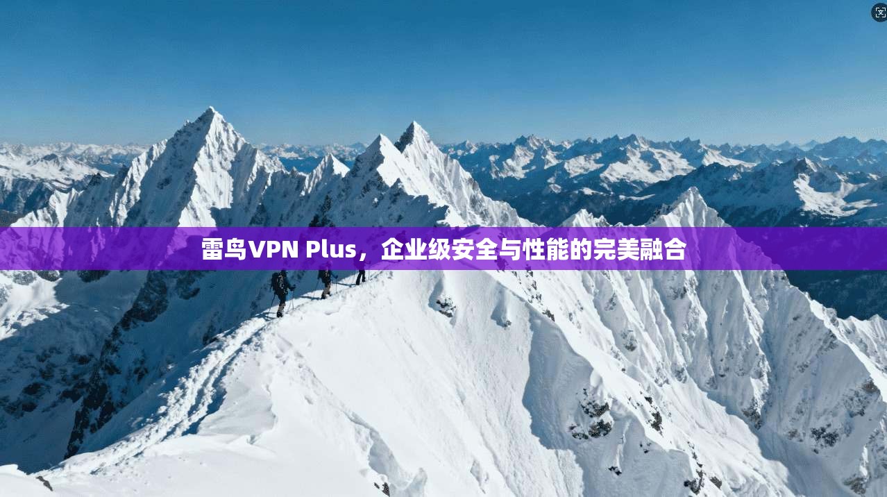 雷鸟VPN Plus，企业级安全与性能的完美融合