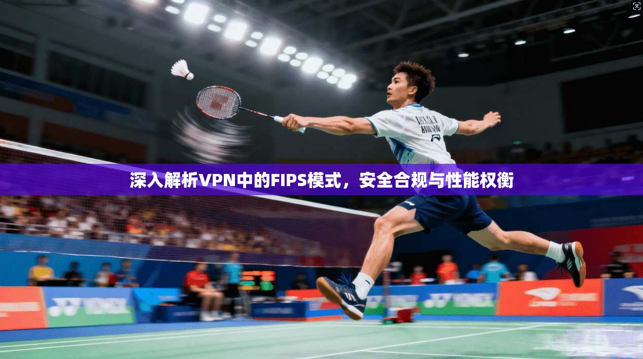 深入解析VPN中的FIPS模式，安全合规与性能权衡