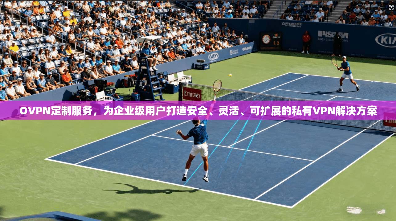 OVPN定制服务，为企业级用户打造安全、灵活、可扩展的私有VPN解决方案
