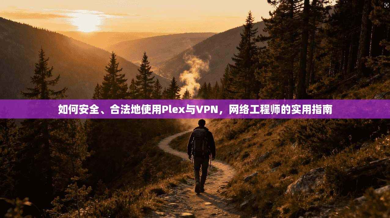 如何安全、合法地使用Plex与VPN，网络工程师的实用指南