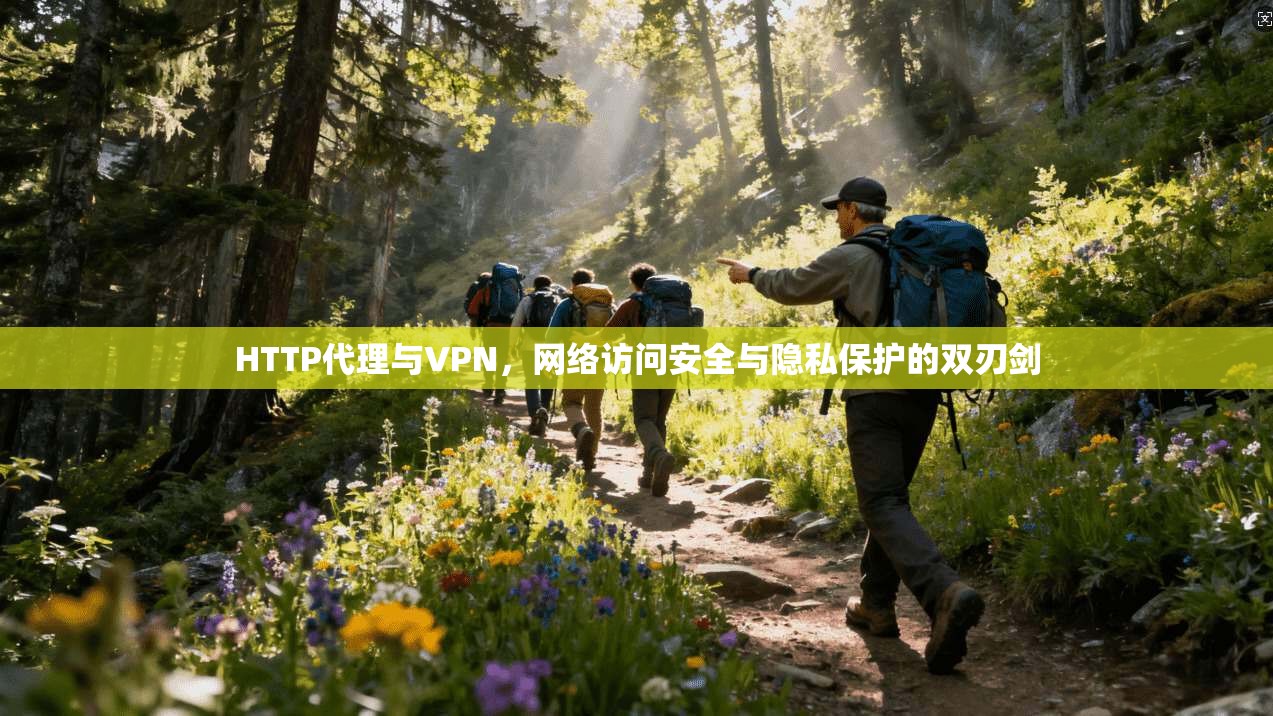 HTTP代理与VPN，网络访问安全与隐私保护的双刃剑