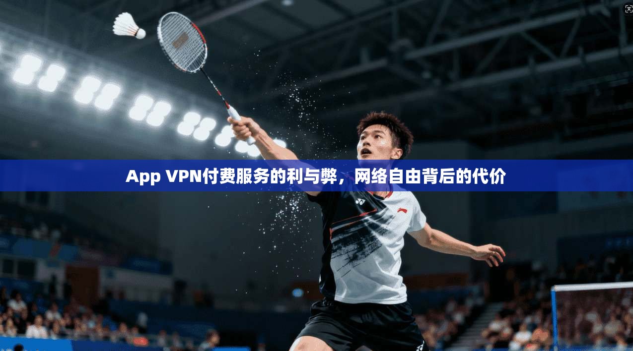 App VPN付费服务的利与弊，网络自由背后的代价