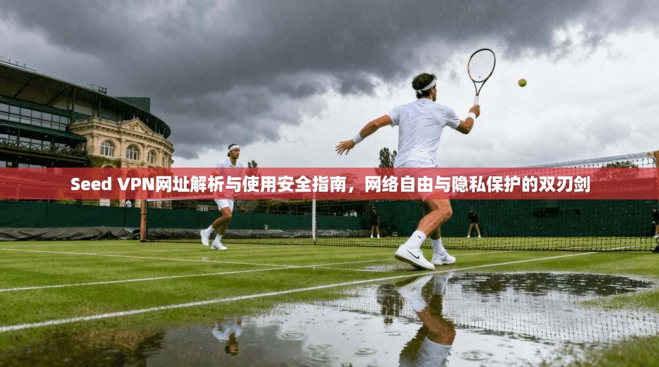 Seed VPN网址解析与使用安全指南,网络自由与隐私保护的双刃剑 Seed VPN网址解析与使用安全指南,网络自由与隐私保护的双刃剑