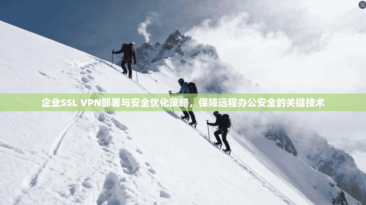 企业SSL VPN部署与安全优化策略,保障远程办公安全的关键技术