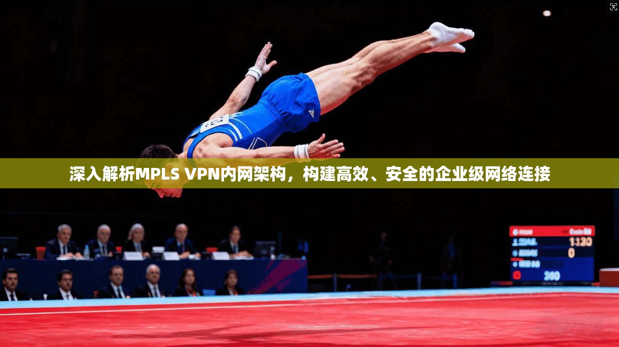 深入解析MPLS VPN内网架构，构建高效、安全的企业级网络连接