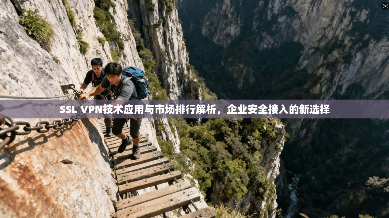 SSL VPN技术应用与市场排行解析，企业安全接入的新选择