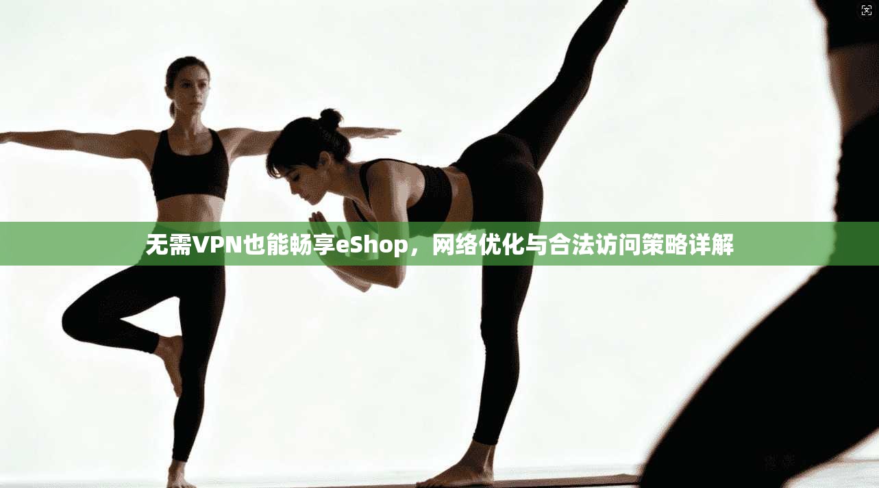 无需VPN也能畅享eShop，网络优化与合法访问策略详解