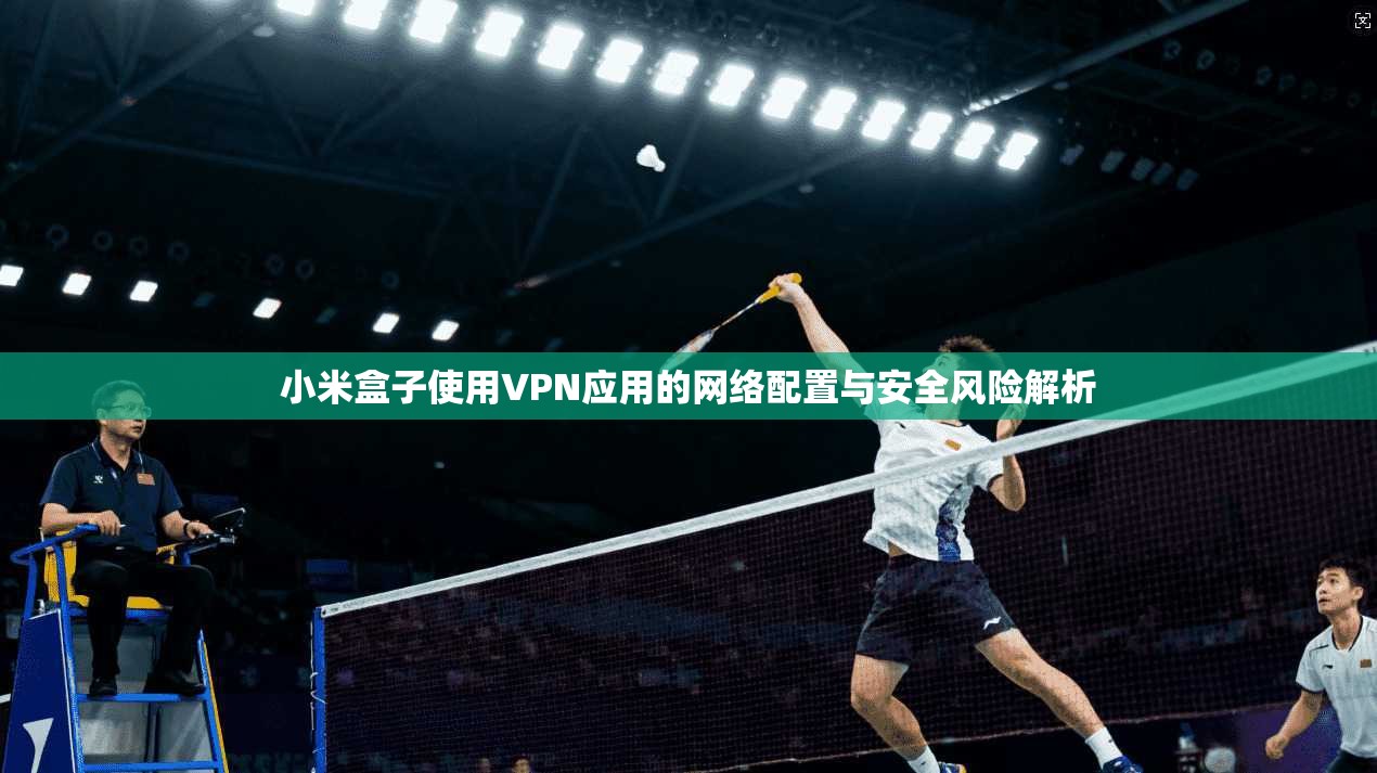 小米盒子使用VPN应用的网络配置与安全风险解析