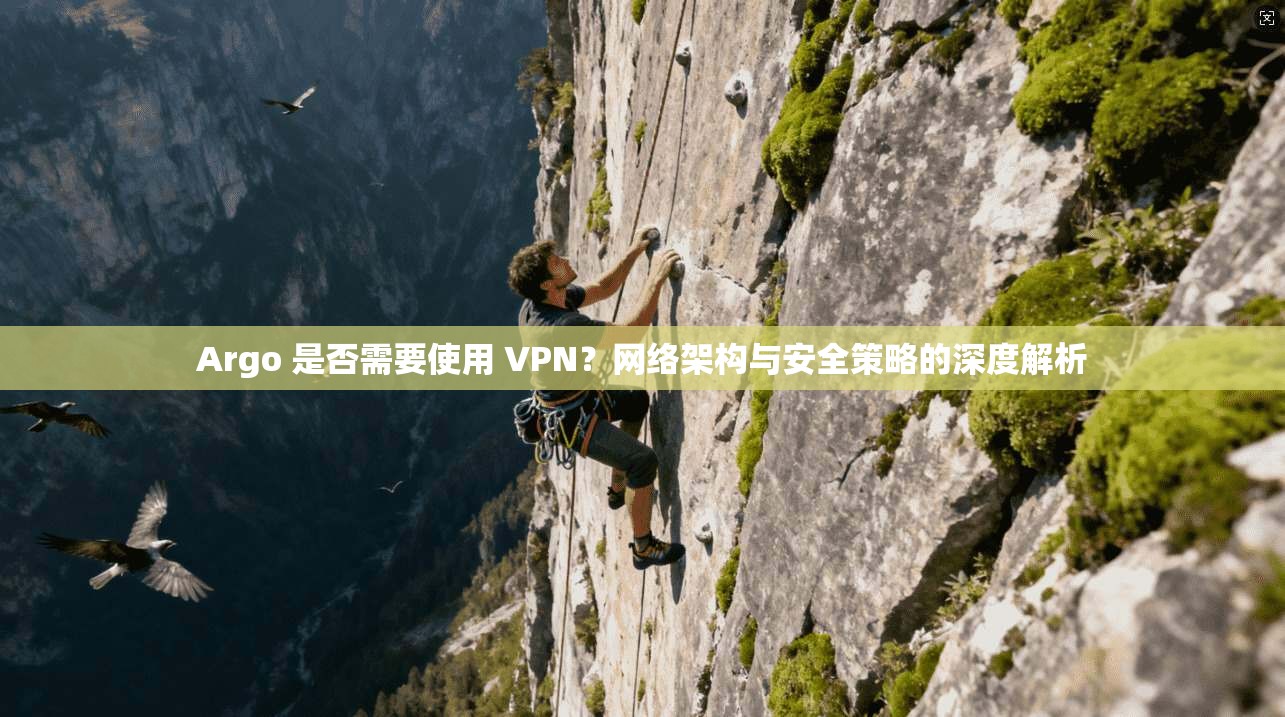 Argo 是否需要使用 VPN？网络架构与安全策略的深度解析